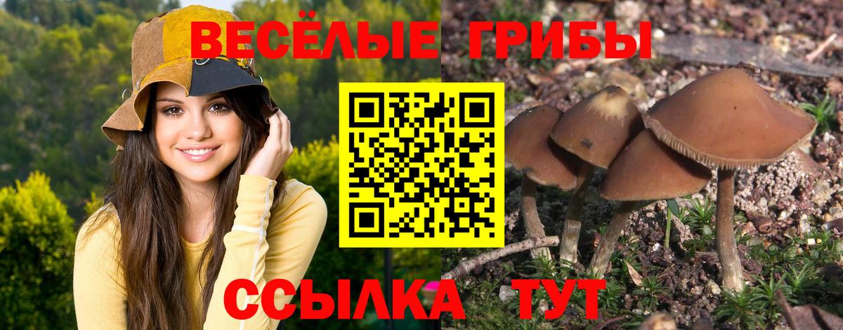 Псилоцибиновые грибы прущие грибы  Комсомольск-на-Амуре 