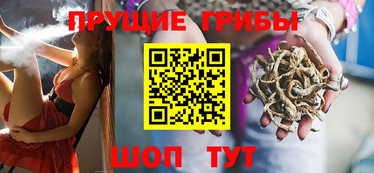 Галлюциногенные грибы мицелий Комсомольск-на-Амуре