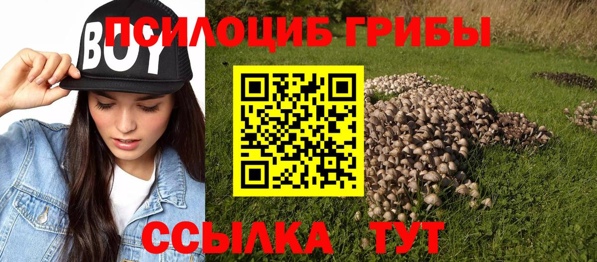 Псилоцибиновые грибы Psilocybine cubensis  Псилоцибиновые грибы Cubensis  Комсомольск-на-Амуре  Вход с VPN 